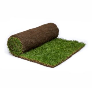 Rolawn Medallion High-Quality Multi-Purpose Ryegrass/Fescue Natural Turf 1m² Roll