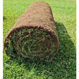 Rolawn Hallstone Multi-Purpose Ryegrass/Fescue Natural Turf 1m² Roll