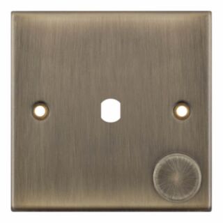 Selectric 5M 1 Aperture Empty Dimmer Plate With Knob Antique Brass